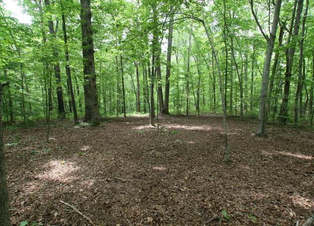 Property at 5671 Pinewood Rd, Franklin, TN 37064