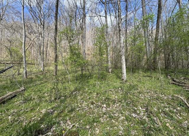 Property at 0 Lake View Dr, Smithville, TN 37166