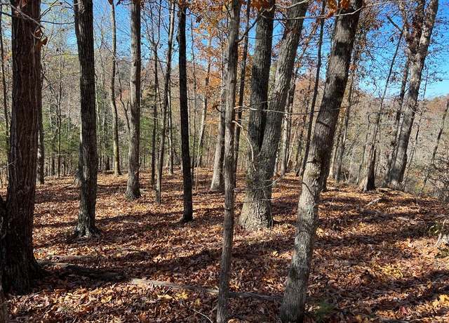 Property at 0 Old Hwy 53, Celina, TN 38551