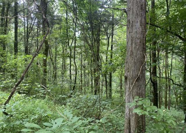Property at 101 N of Eagle Ridge Lot 34, Granville, TN 38564