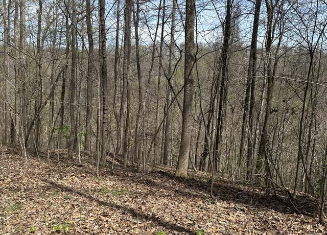 Property at 0 Crestwood Dr, Smithville, TN 37166