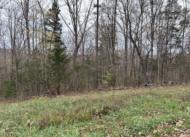 Property at 0 Cheyenne Dr, Jamestown, TN 38556