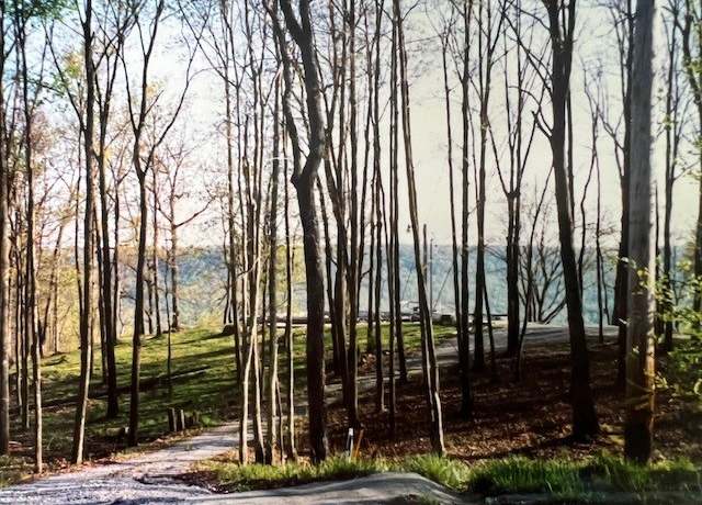 Property at 0 Long View Ln, Monteagle, TN 37356