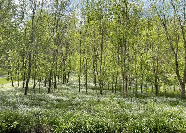 Property at 0 Austin Hollow Rd, Pleasant Shade, TN 37145