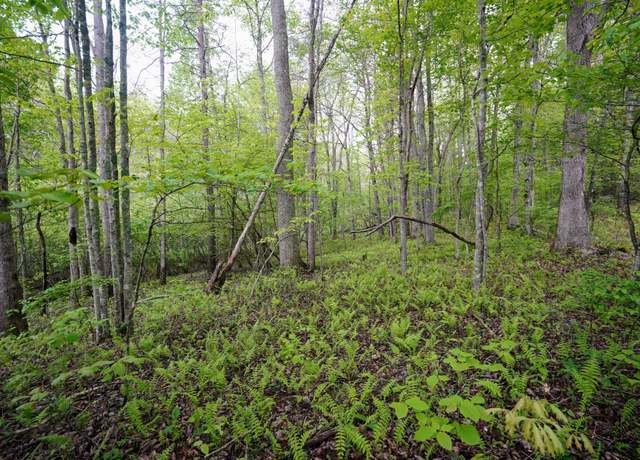 Property at 0 Glade Pl, Monterey, TN 38574