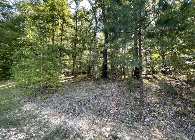 Property at 328 Bigysmal Ln, Cedar Grove, TN 38321