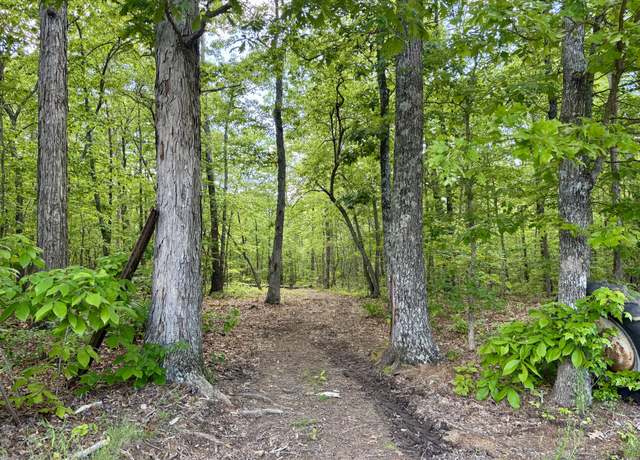Property at 0 Preacher Spry Rd, Bradyville, TN 37026
