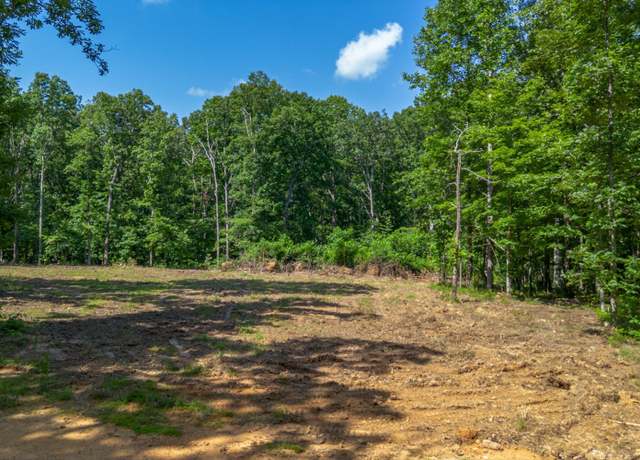 Property at 4 Amazing Pl, Summertown, TN 38483