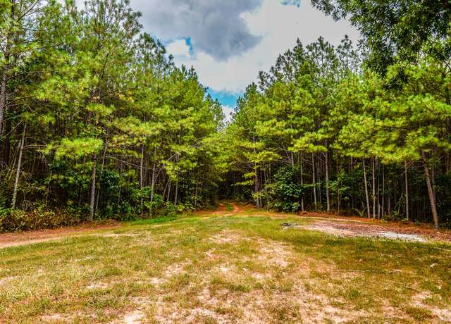 Property at 0 Brush Creek Rd, Hohenwald, TN 38462