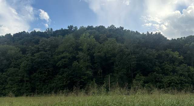 Photo of 0 Lees Creek Rd, Fayetteville, TN 37334