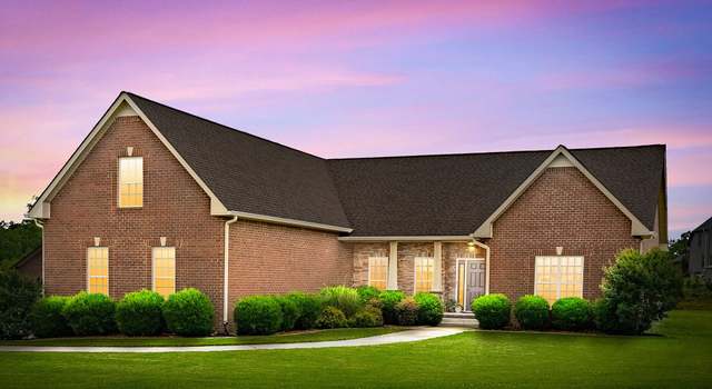 Photo of 963 Red Bluff Way, Adams, TN 37010