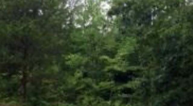 Photo of 0 Knob Hill Dr, Waverly, TN 37185