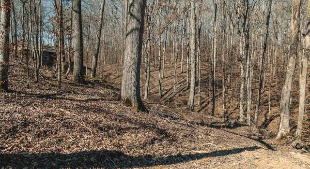 Photo of 0 Lakeshore Dr, Sugar Tree, TN 38380