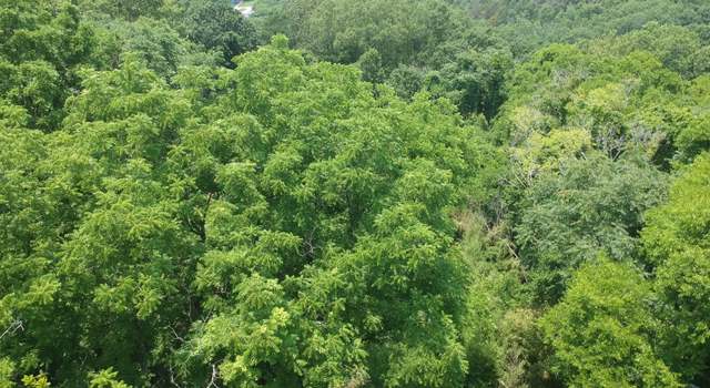 Photo of 18 Moon St, Chattanooga, TN 37406
