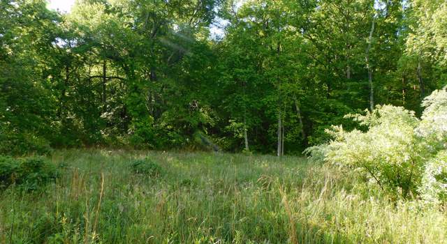Photo of 2098 60th Ave S, Gruetli Laager, TN 37339