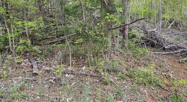 Photo of 0 NE Lot #2 Walk In The Trees Dr, New Market, TN 37820