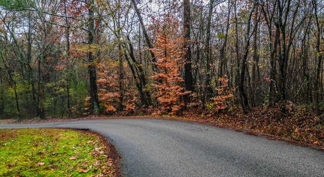 Photo of 0 Long Hollow Rd, South Pittsburg, TN 37380