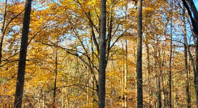 Photo of 9656 Francis Ferry Rd, Rock Island, TN 38581