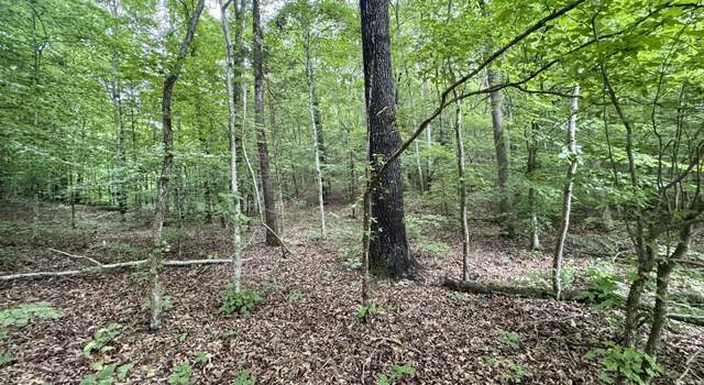 Photo of 1030 Highway 438 West, Lobelville, TN 37097
