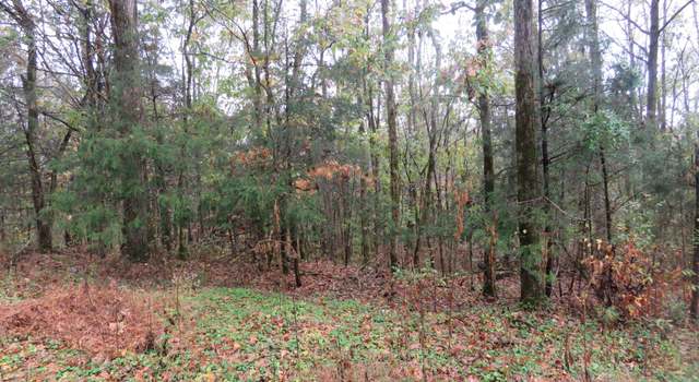 Photo of 0 Hilltop Ln, Gainesboro, TN 38562