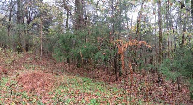 Photo of 0 Hilltop Ln, Gainesboro, TN 38562