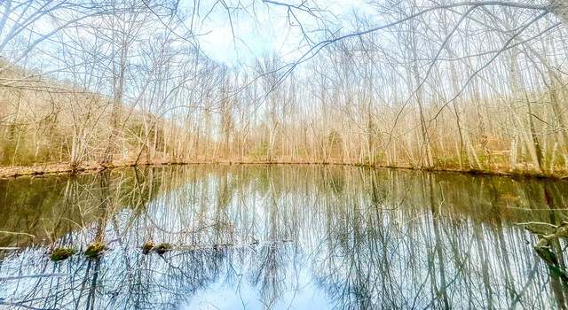 Photo of 0 Johnson Mill Branch Rd, Lutts, TN 38471