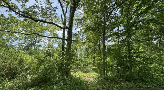 Photo of 0 Joslin Branch Rd, White Bluff, TN 37187