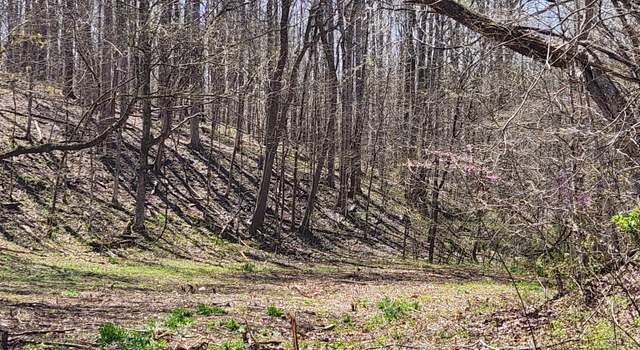 Photo of 0 Lowery Cemetery Rd, Stewart, TN 37175