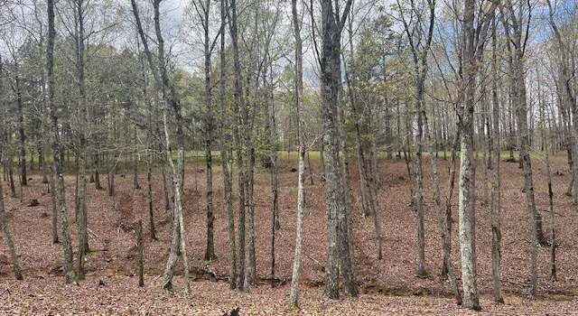 Photo of 0 Willie Mauldin Rd, Lutts, TN 38471