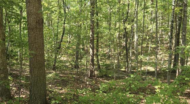 Photo of 0 Raven Cliff Rd, Graysville, TN 37338