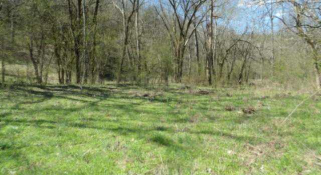 Photo of 78 ac Baugh Hollow Rd, TN 38562