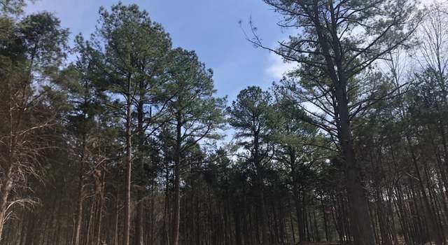 Photo of 5 Daugherty Capley Rd, Primm Springs, TN 38476