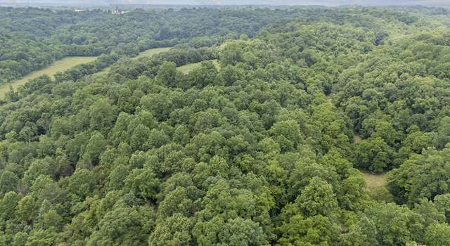 Photo of 55 Thompson Hollow Rd, Taft, TN 38488