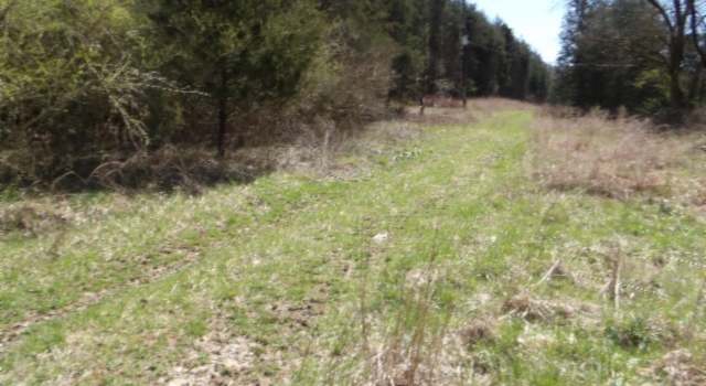 Photo of 90 ac Baugh Hollow Rd, Gainesboro, TN 38562