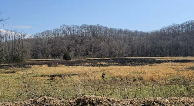 Photo of 1246 Sulphur Creek Rd, Centerville, TN 37033