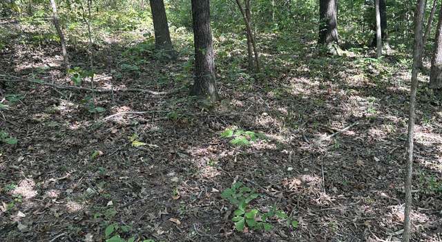 Photo of 0 Lee Ln, Big Rock, TN 37023