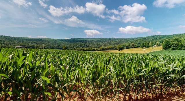 Photo of 0 Oris Sain Rd, Morrison, TN 37357