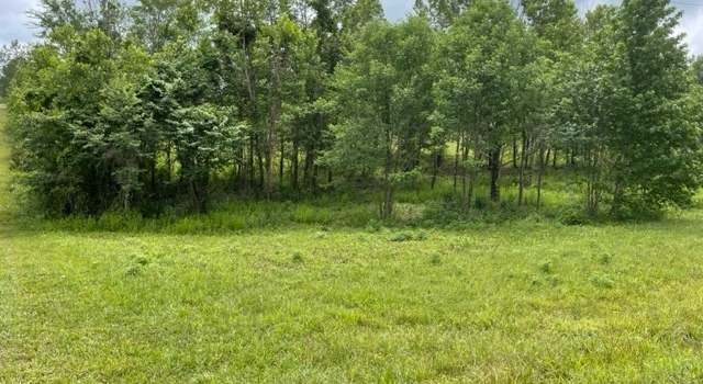 Photo of 0 Marion Rd Lot 2, Cunningham, TN 37052