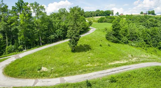 Photo of 0 Bald Eagle Ln, Hilham, TN 38568