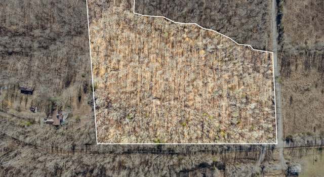 Photo of 0 Bumpus Mills Rd, Dover, TN 37058