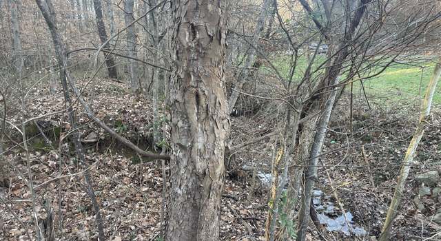 Photo of 16 Autumn Trl, Dover, TN 37058