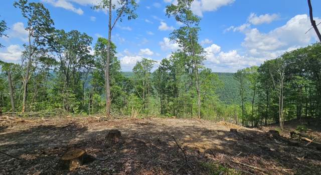 Photo of 11 Higgenbotham Tpke, Altamont, TN 37301