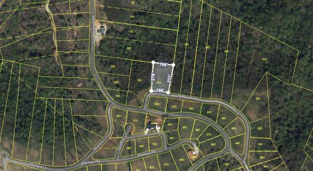 Photo of 0 Rockfish Rd, Hilham, TN 38568