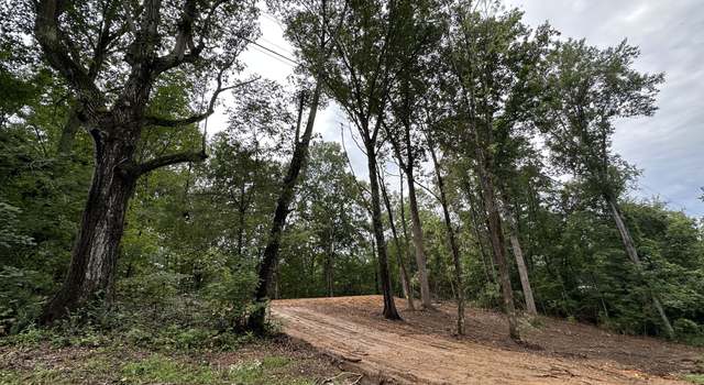 Photo of 352 Pulley St, Erin, TN 37061