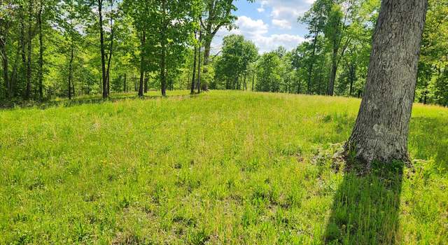 Photo of 386 James Zimmerman Rd, Hampshire, TN 38461