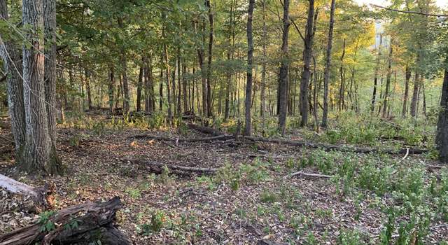 Photo of 0 Harnisch Rd, Clifton, TN 38425