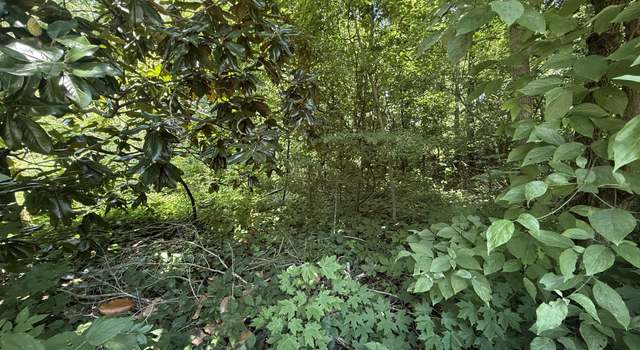 Photo of 60 Lees Ford Ln, Winchester, TN 37398