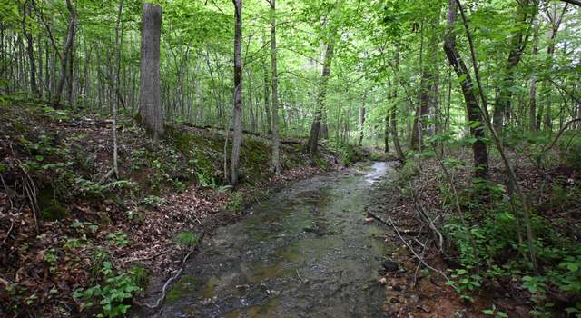 Photo of 163 Fern Springs Rd, Hohenwald, TN 38462