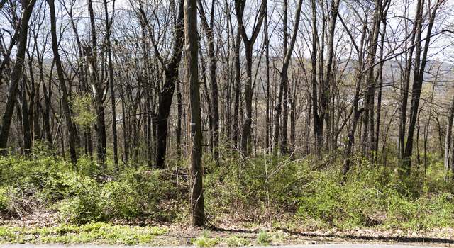 Photo of 281 Whitehall Rd, Chattanooga, TN 37405