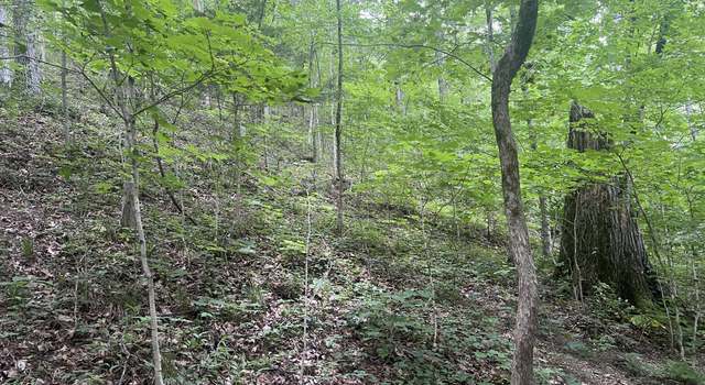 Photo of 0 Deerwood Trl, Pegram, TN 37143